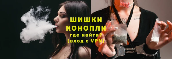 крисы Вяземский