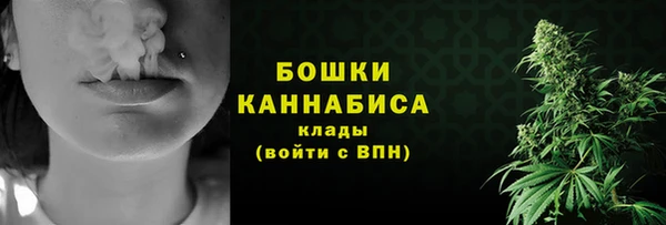крисы Вяземский