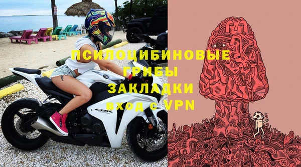крисы Вяземский